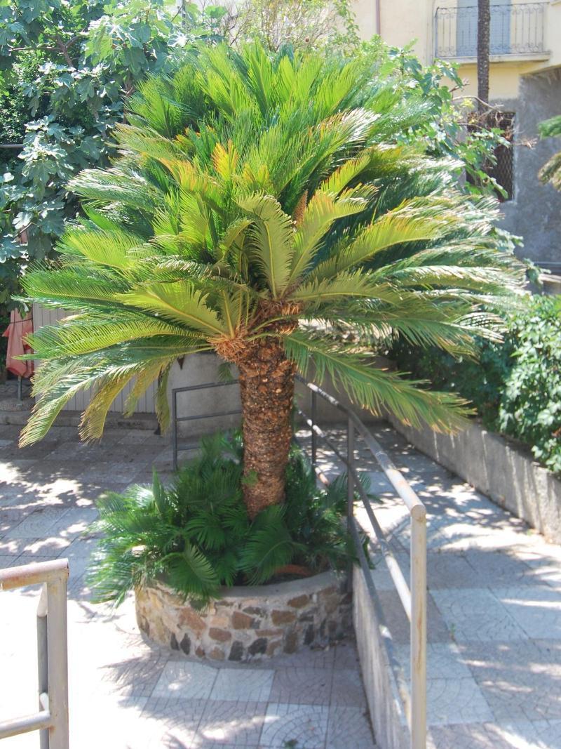 Hotel San Giuseppe - Cityhotel Catanzaro Exterior foto
